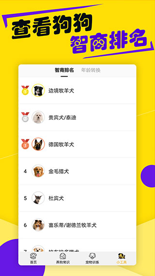 毛滚滚日常截图