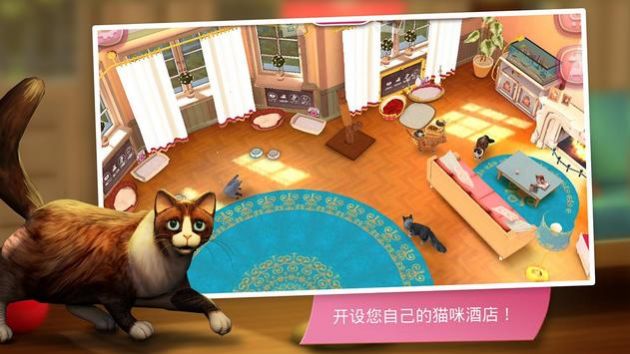 猫咪旅店截图