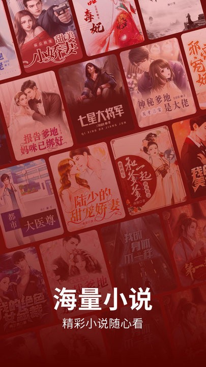 皮皮免费小说截图