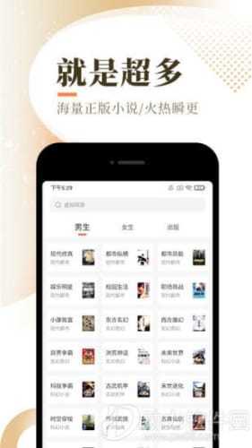 淡雅小说截图
