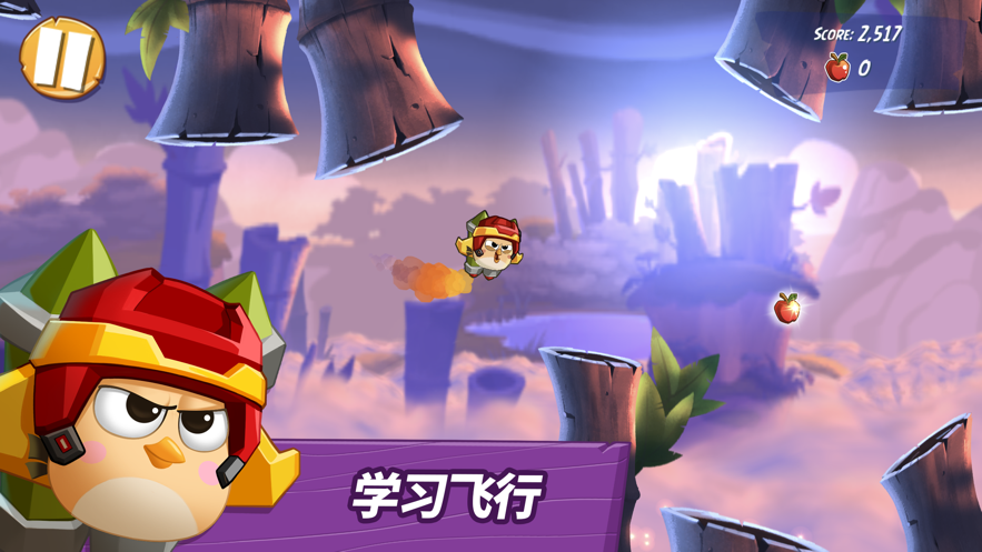 愤怒的小鸟2去广告纯净版截图