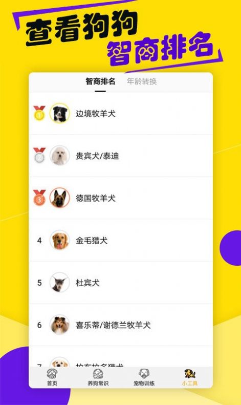 狗语交流翻译器截图