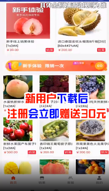 网新商城截图