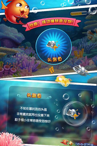 大鱼吃小鱼3截图