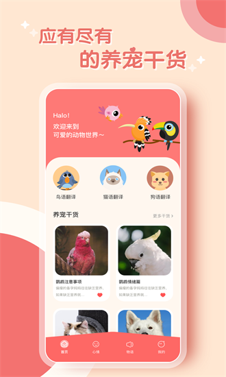 鹦鹉语言翻译器截图