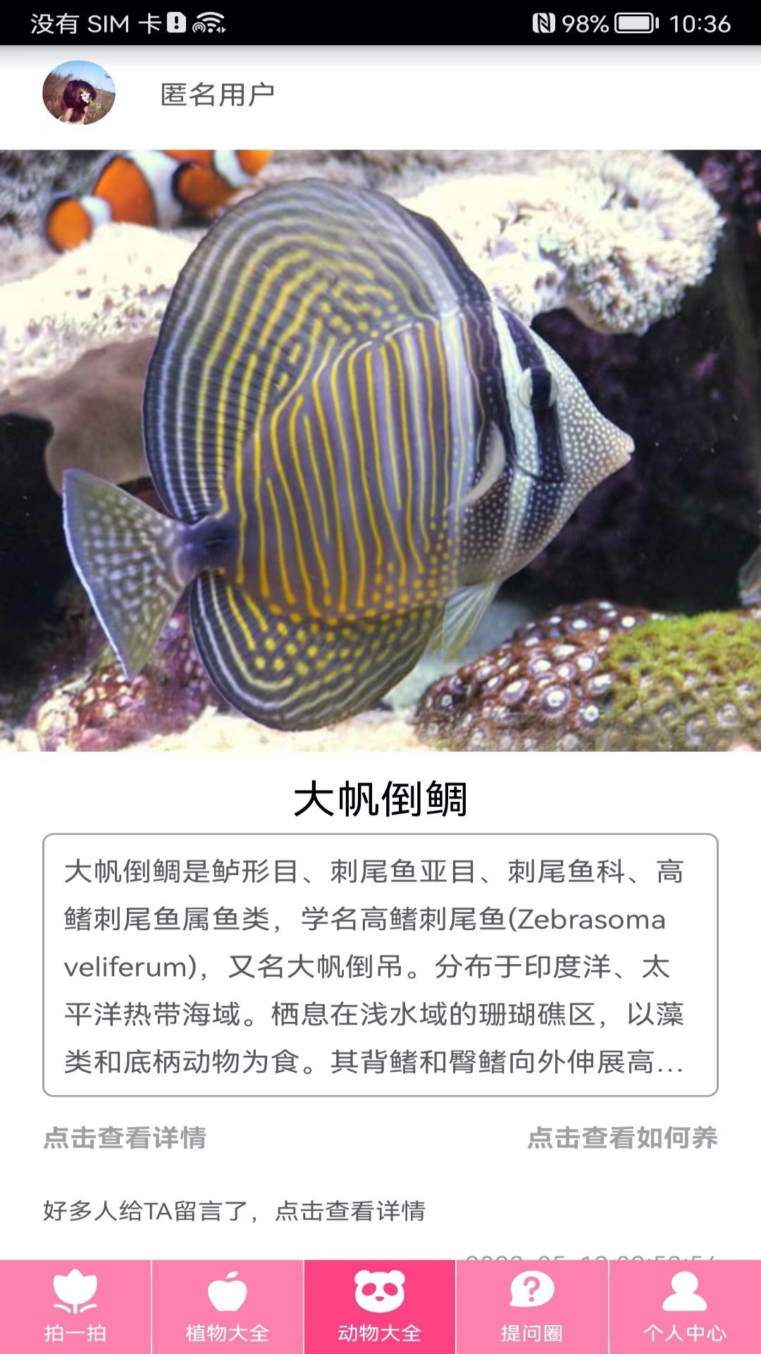 随手拍照识物截图