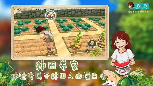 小森生活免费领取钻石截图