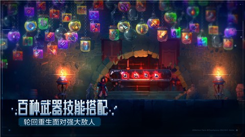 dead cells截图