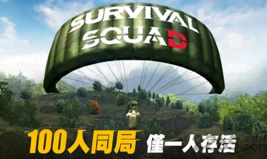 生存小队国际服截图