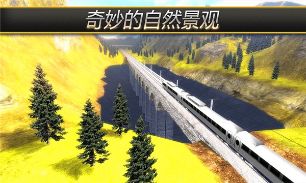 火车摸拟器截图