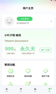 竹子视频截图