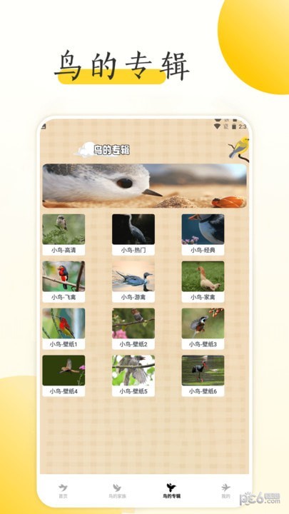 小鸟壁纸大全截图