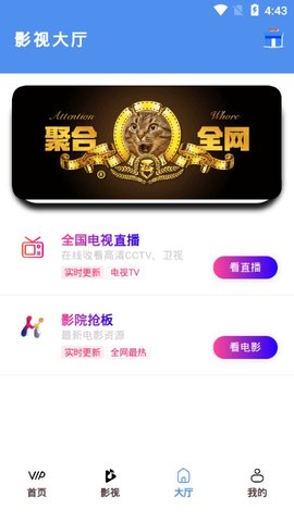 山茶视频截图