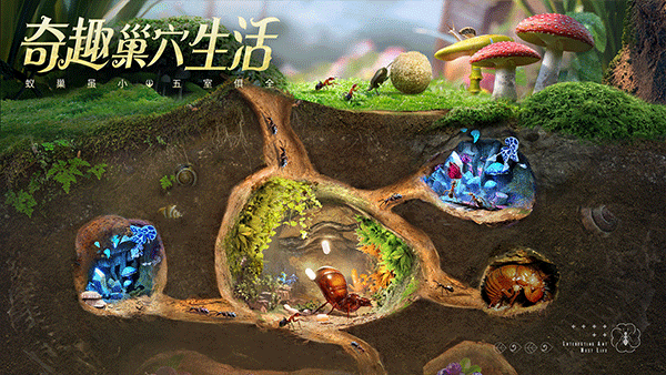 小小蚁国兑换码无限领版截图