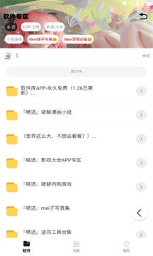 倾城软件库老版本截图