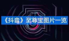 《抖音》至尊宝图片一览