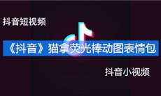 《抖音》猫拿荧光棒动图表情包