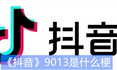 《抖音》9013是什么梗