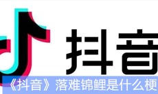 《抖音》落难锦鲤是什么梗