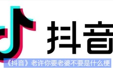 《抖音》老许你要老婆不要是什么梗