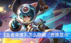 《王者荣耀》怎么隐藏“贵族显示”