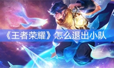 《王者荣耀》怎么退出小队