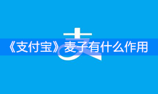 《支付宝》麦子有什么作用