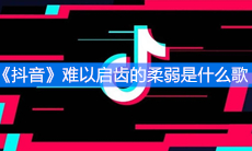 《抖音》难以启齿的柔弱是什么歌