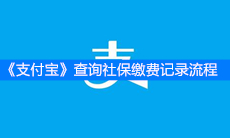 《支付宝》查询社保缴费记录流程