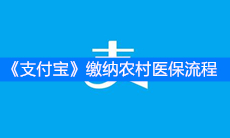 《支付宝》缴纳农村医保流程