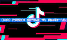 《抖音》我看见你红着双眼却守望在窗前是什么歌