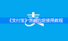 《支付宝》芝麻约定使用教程