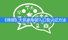 《微信》大玩家专区入口及认证方法