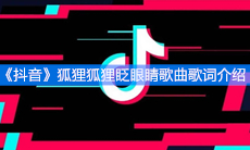 《抖音》狐狸狐狸眨眼睛歌曲歌词介绍