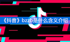 《抖音》bzzb是什么含义介绍