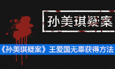 《孙美琪疑案》三级线索王爱国无辜获得方法