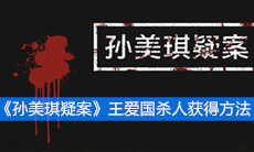 《孙美琪疑案》三级线索王爱国杀人获得方法