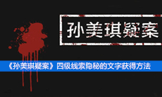 《孙美琪疑案》四级线索隐秘的文字获得方法