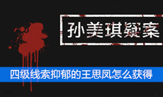 《孙美琪疑案》四级线索抑郁的王思凤获得