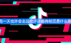 《抖音》有一天也许会走远也许还能再相见是什么歌