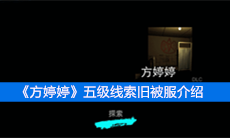 《方婷婷》五级线索旧被服介绍