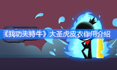《我功夫特牛》大圣虎皮衣作用介绍