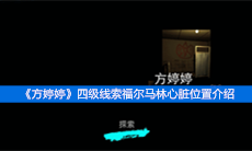 《方婷婷》四级线索福尔马林心脏位置介绍