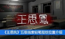 《王思凤》五级线索铅笔指纹位置介绍