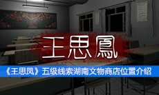 《王思凤》五级线索湖南文物商店位置介绍