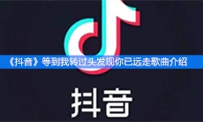 《抖音》等到我转过头发现你已远走歌曲介绍