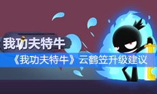 《我功夫特牛》云鹤笠升级建议