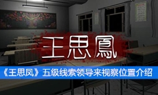 《王思凤》五级线索领导来视察位置介绍