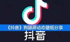 《抖音》狗舔屏动态壁纸分享