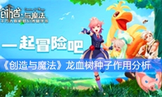 《创造与魔法》龙血树种子作用分析
